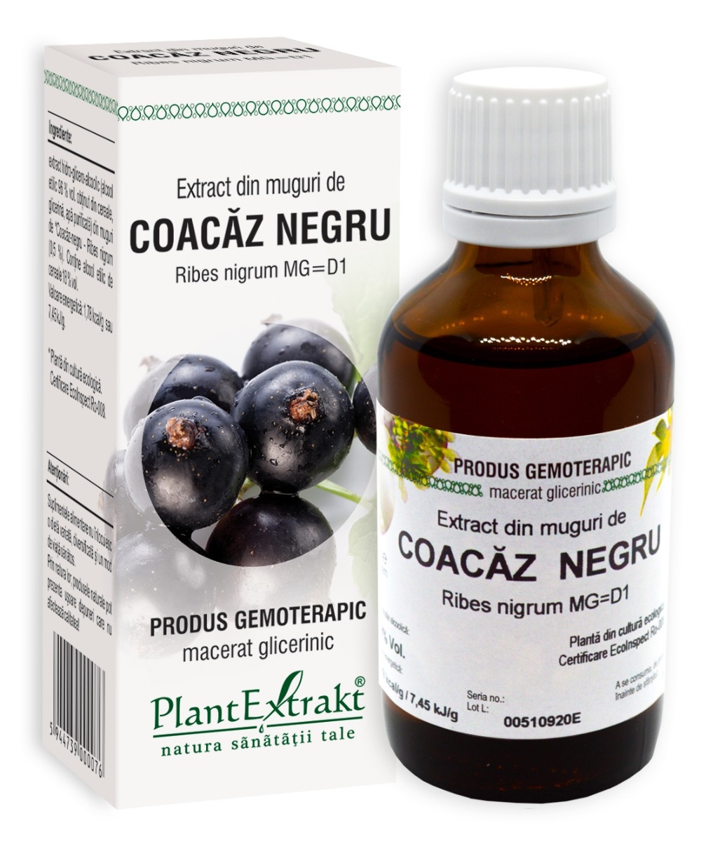 Plantextrakt - Extract din muguri de coacaz negru 50ml