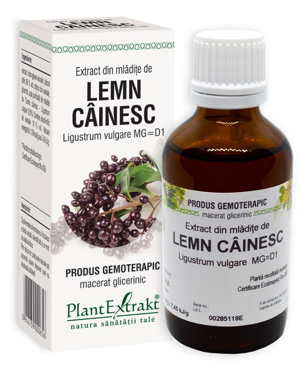 Plantextrakt - Extract din mladite de lemn cainesc 50ml