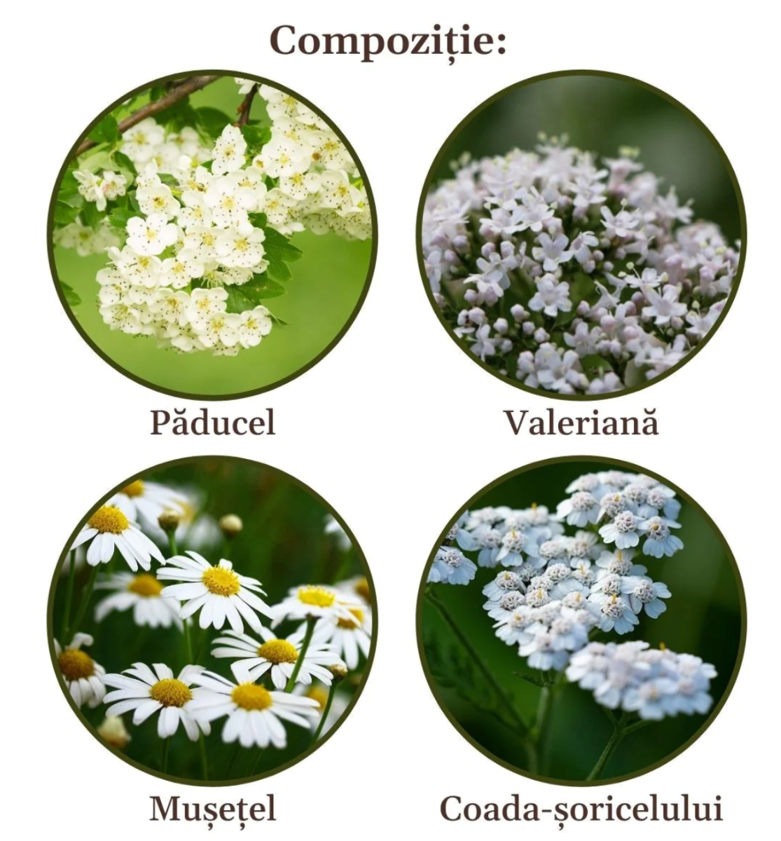 Faunus Plant - Ceai Circulatorus 90g