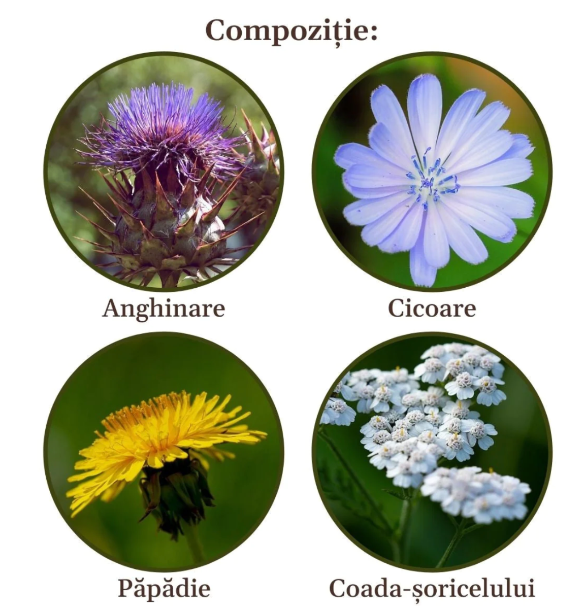 Faunus Plant - Ceai Hepatobiliarus 90g