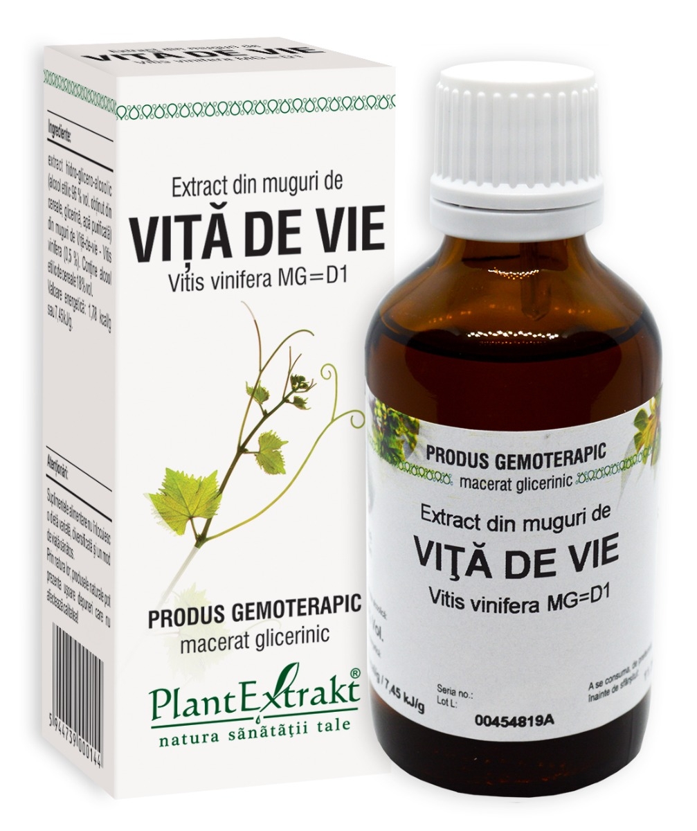 Plantextrakt - Extract din muguri de vita de vie 50ml