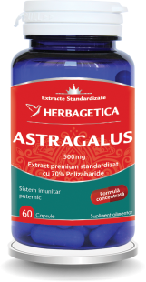 Herbagetica - Astragalus 500mg 60 caps.