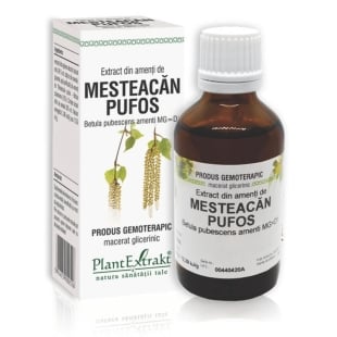 Extract din amenti de Mesteacan Pufos, 50 ml, PlantExtrakt