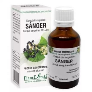 Extract din muguri de Sanger, 50 ml, PlantExtract