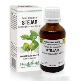 Extract din muguri de Stejar, 50 ml, PlantExtrakt