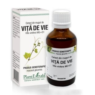 Extract din muguri de Vita de Vie, 50 ml, PlantExtrakt