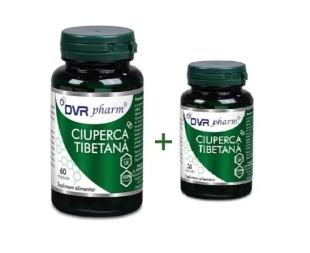Pachet Ciuperca tibetana, 60 + 30 capsule, DVR Pharm
