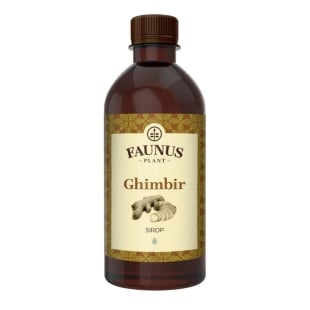 Sirop de ghimbir, 500 ml, Faunus Plant