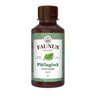 Sirop de patlagina cu miere, 200 ml, Faunus Plant