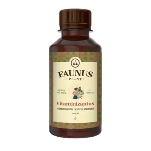 Sirop Vitaminizantus, 200 ml, Faunus Plant