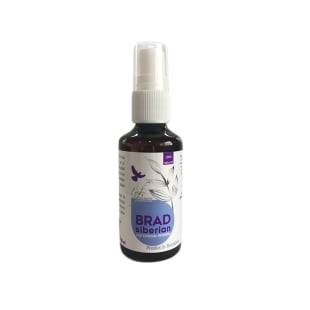 Ulei esential integral de brad siberian Life, 10 ml, Bionovativ