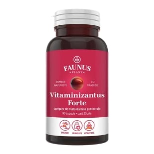 Vitaminizantus Forte, 90 capsule, Faunus Plant