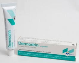 Dermodrin unguent 20 mg/g x 20 g unguent