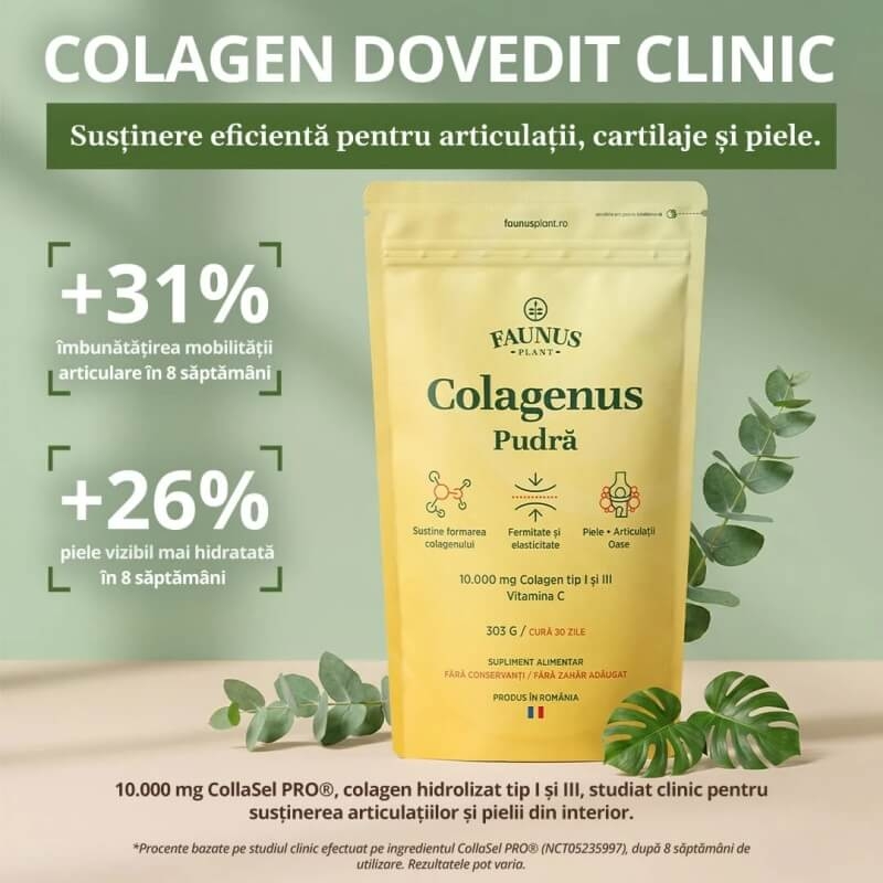 Colagenus cu vitamina C pudra, 303 g, Faunus Plant