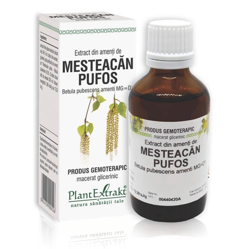Extract din amenti de Mesteacan Pufos, 50 ml, PlantExtrakt Extract din amenti de Mesteacan Pufos, 50 ml, PlantExtrakt