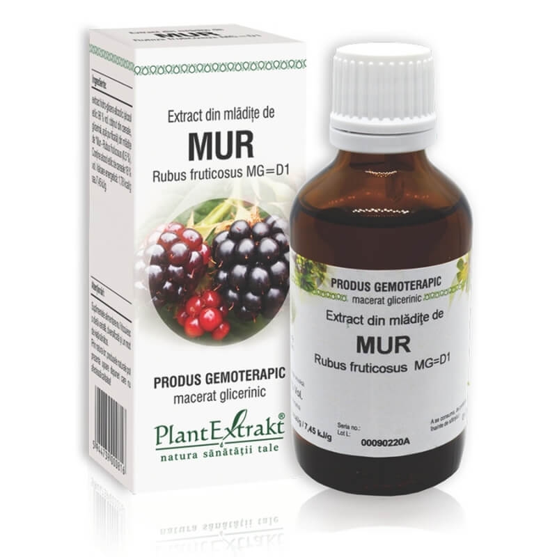 Extract din mladite de Mur, 50 ml, PlantExtrakt Extract din mladite de Mur, 50 ml, PlantExtrakt
