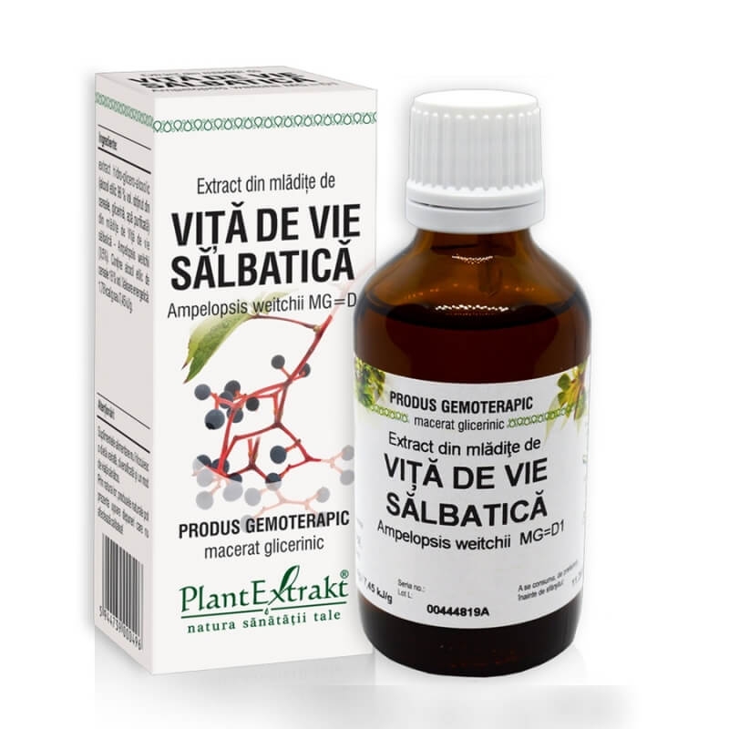 Extract din mladite de Vita de Vie Salbatica, 50 ml, PlantExtrakt Extract din mladite de Vita de Vie Salbatica, 50 ml, PlantExtrakt
