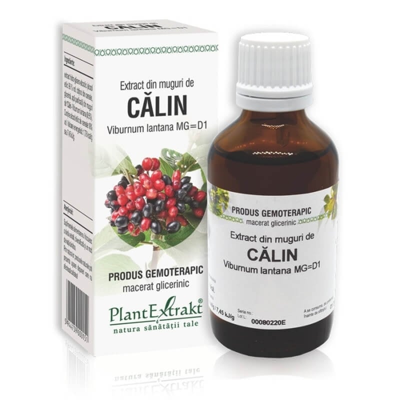Extract din muguri de Calin, 50 ml, PlantExtrakt
