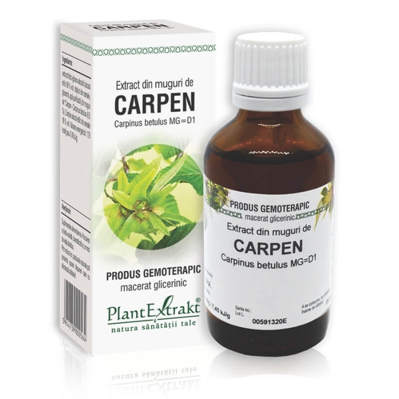 Extract din muguri de Carpen, 50 ml, PlantExtrakt Extract din muguri de Carpen, 50 ml, PlantExtrakt