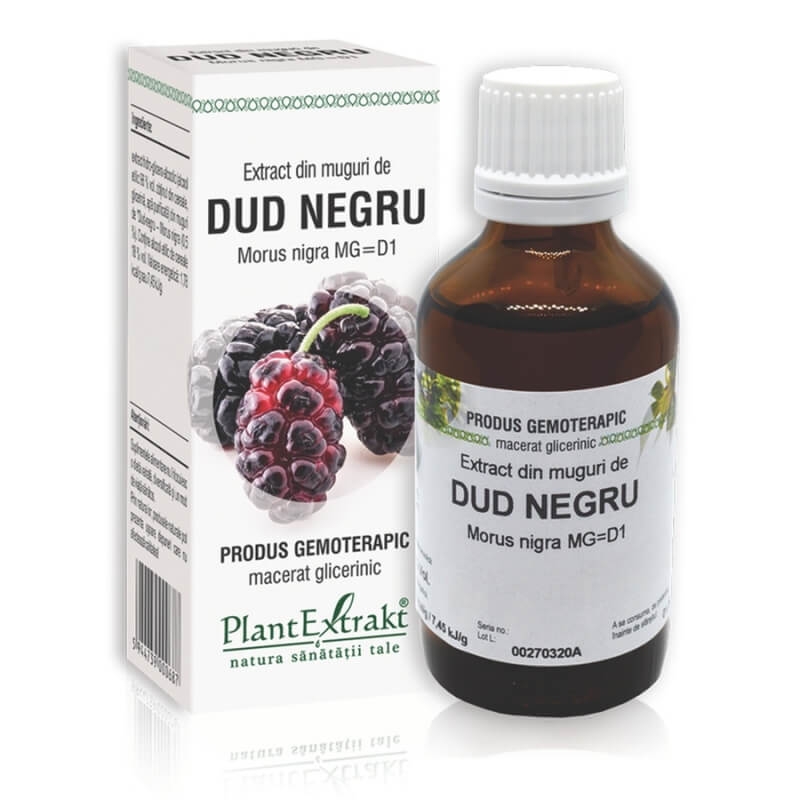 Extract din muguri de Dud Negru, 50 ml, PlantExtrakt Extract din muguri de Dud Negru, 50 ml, PlantExtrakt