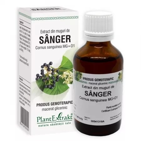 Extract din muguri de Sanger, 50 ml, PlantExtract