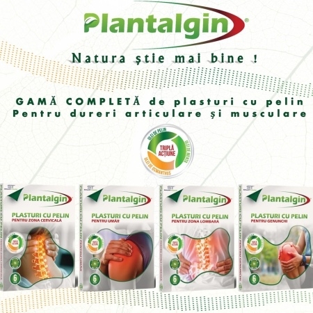 Plasturi cu pelin pentru dureri de genunchi, 6 bucati, Plantalgin Plasturi cu pelin pentru dureri de genunchi, 6 bucati, Plantalgin