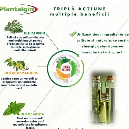Plasturi cu pelin pentru dureri de genunchi, 6 bucati, Plantalgin Plasturi cu pelin pentru dureri de genunchi, 6 bucati, Plantalgin