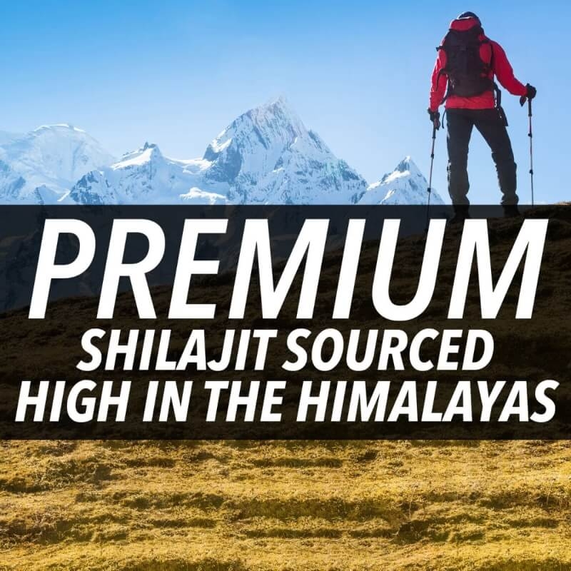 Rasina pura de Shilajit din Himalaya Nugenix, 60 capsule, GNC Rasina pura de Shilajit din Himalaya Nugenix, 60 capsule, GNC