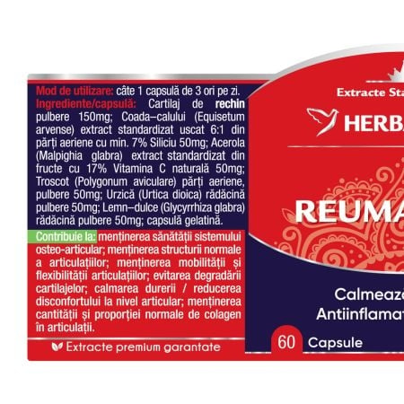 Reumatofit, 60 capsule, Herbagetica Reumatofit, 60 capsule, Herbagetica