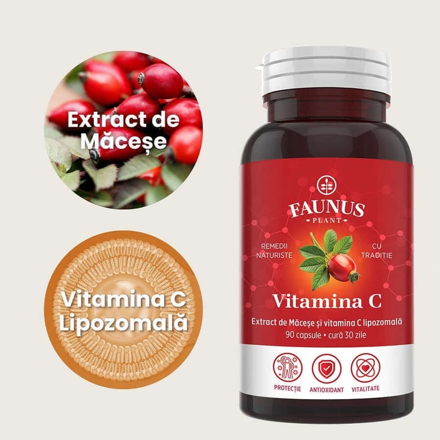 Vitamina C lipozomala cu extract de macese, 90 capsule, Faunus Plant