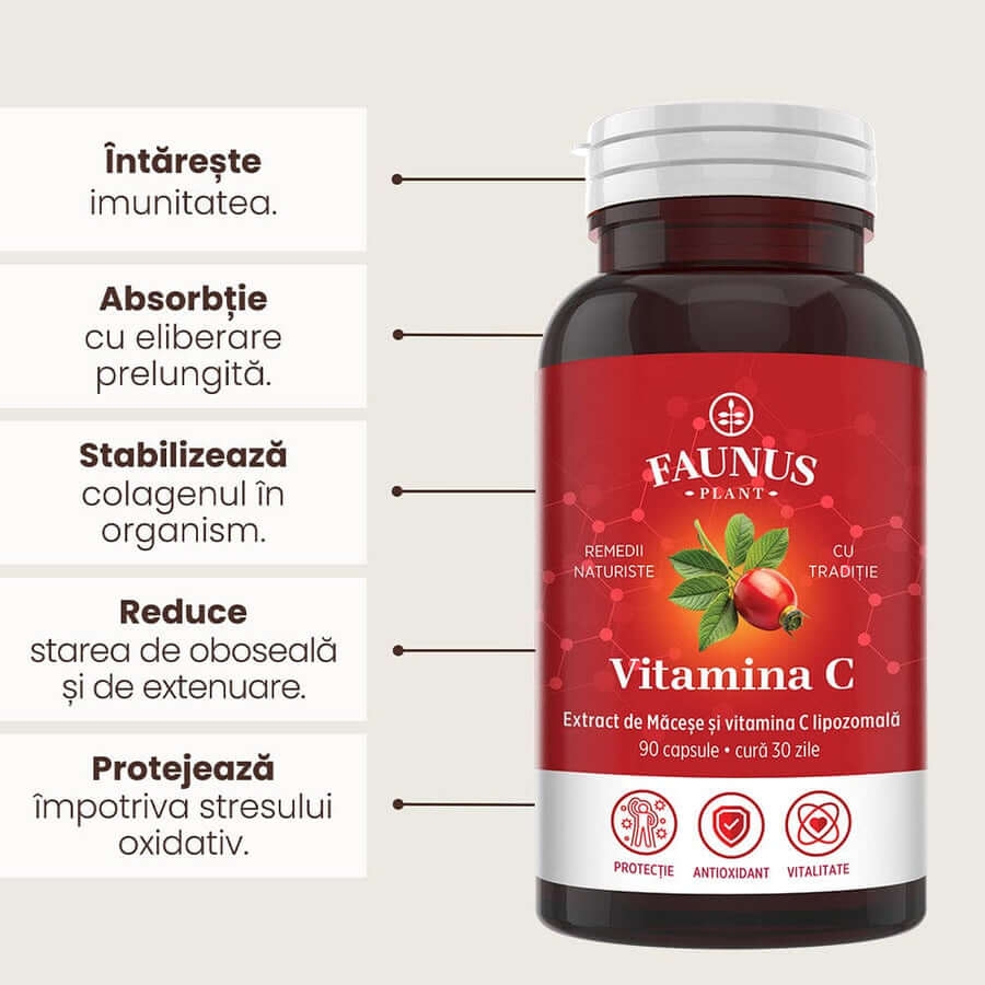Vitamina C lipozomala cu extract de macese, 90 capsule, Faunus Plant