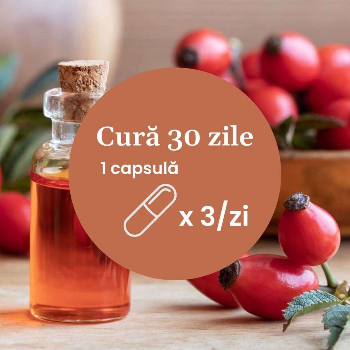 Vitamina C lipozomala cu extract de macese, 90 capsule, Faunus Plant