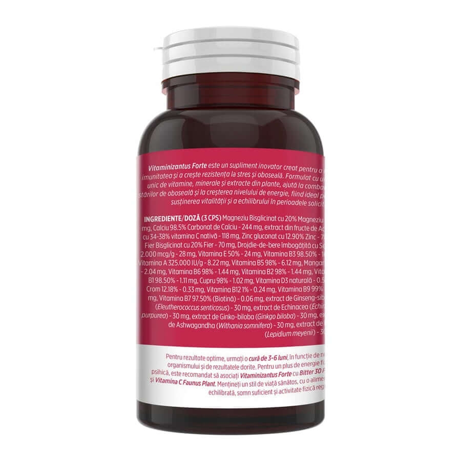 Vitaminizantus Forte, 90 capsule, Faunus Plant
